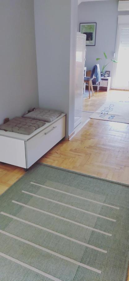 Apartman Aleksandra Semendria Exterior foto