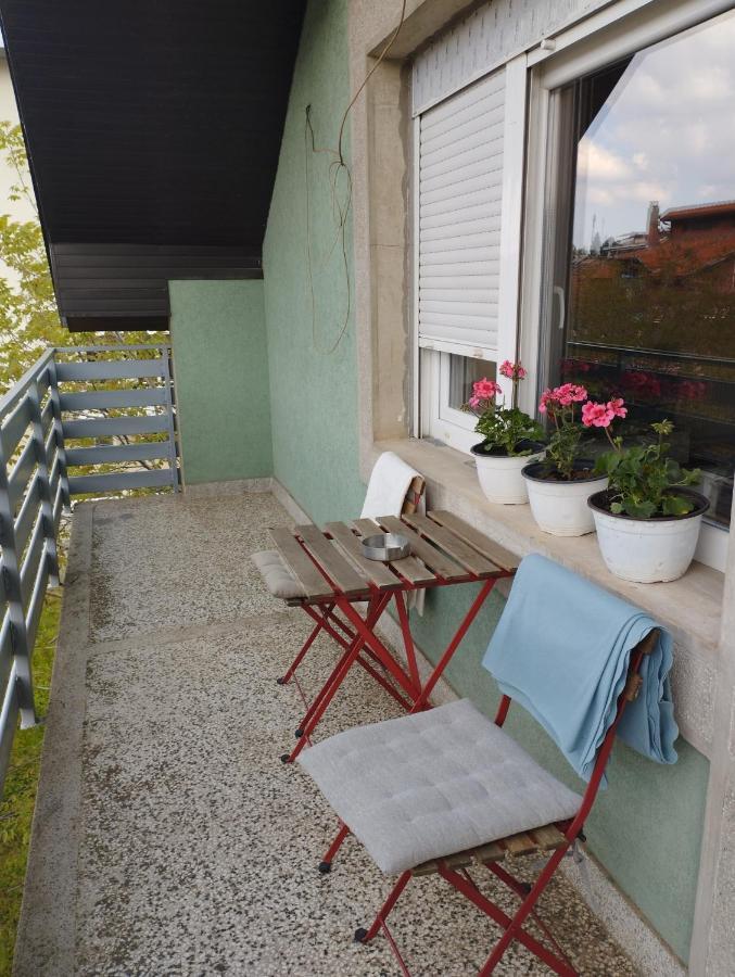 Apartman Aleksandra Semendria Exterior foto