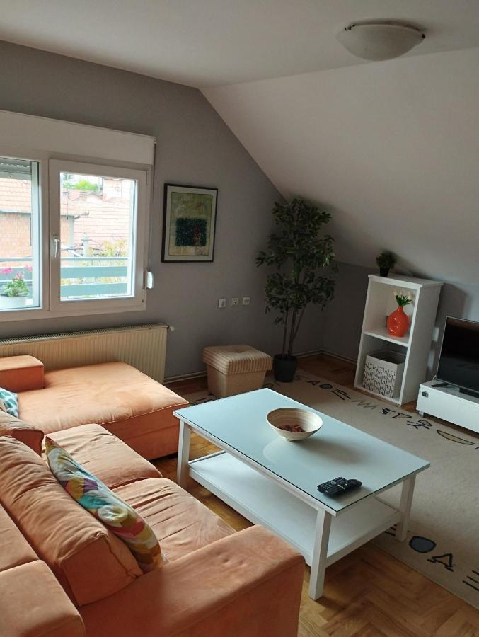 Apartman Aleksandra Semendria Exterior foto