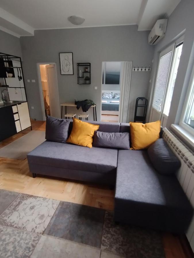 Apartman Aleksandra Semendria Exterior foto