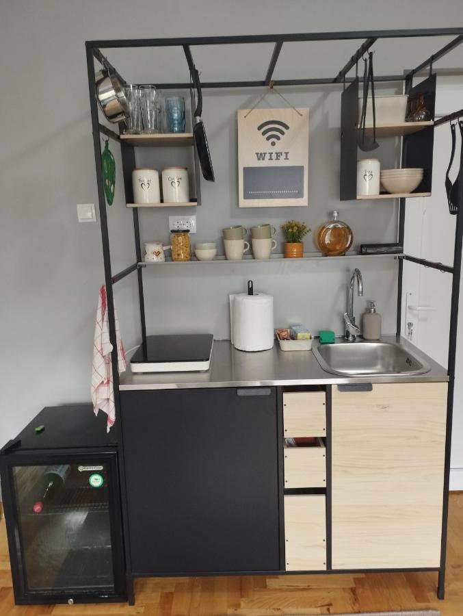 Apartman Aleksandra Semendria Exterior foto